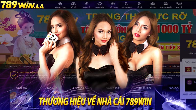 Khái quát về thương hiệu nhà cái 789win